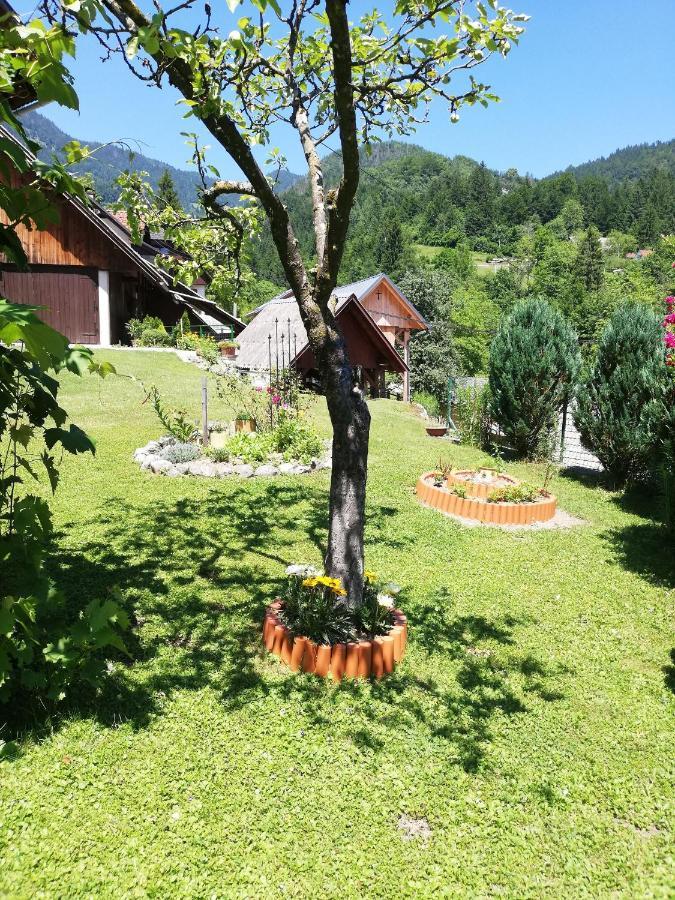 Apartament Soba Pri Bregarju Bohinj Zewnętrze zdjęcie