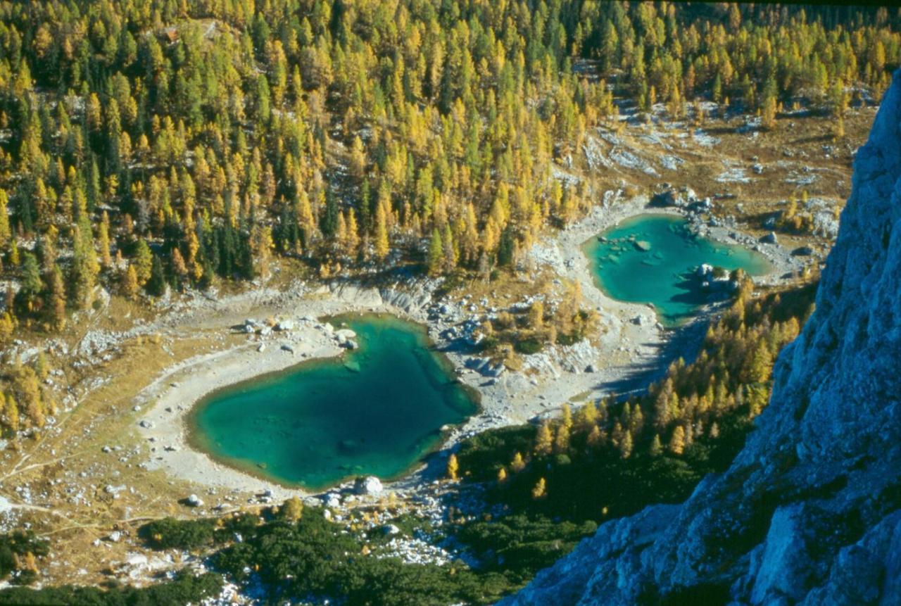Apartament Soba Pri Bregarju Bohinj Zewnętrze zdjęcie