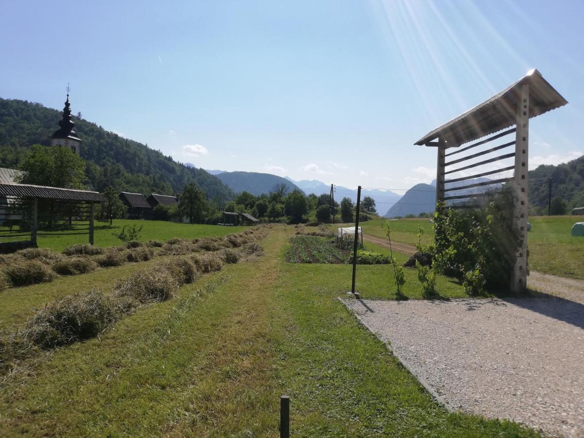 Apartament Soba Pri Bregarju Bohinj Zewnętrze zdjęcie