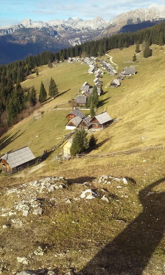 Apartament Soba Pri Bregarju Bohinj Zewnętrze zdjęcie