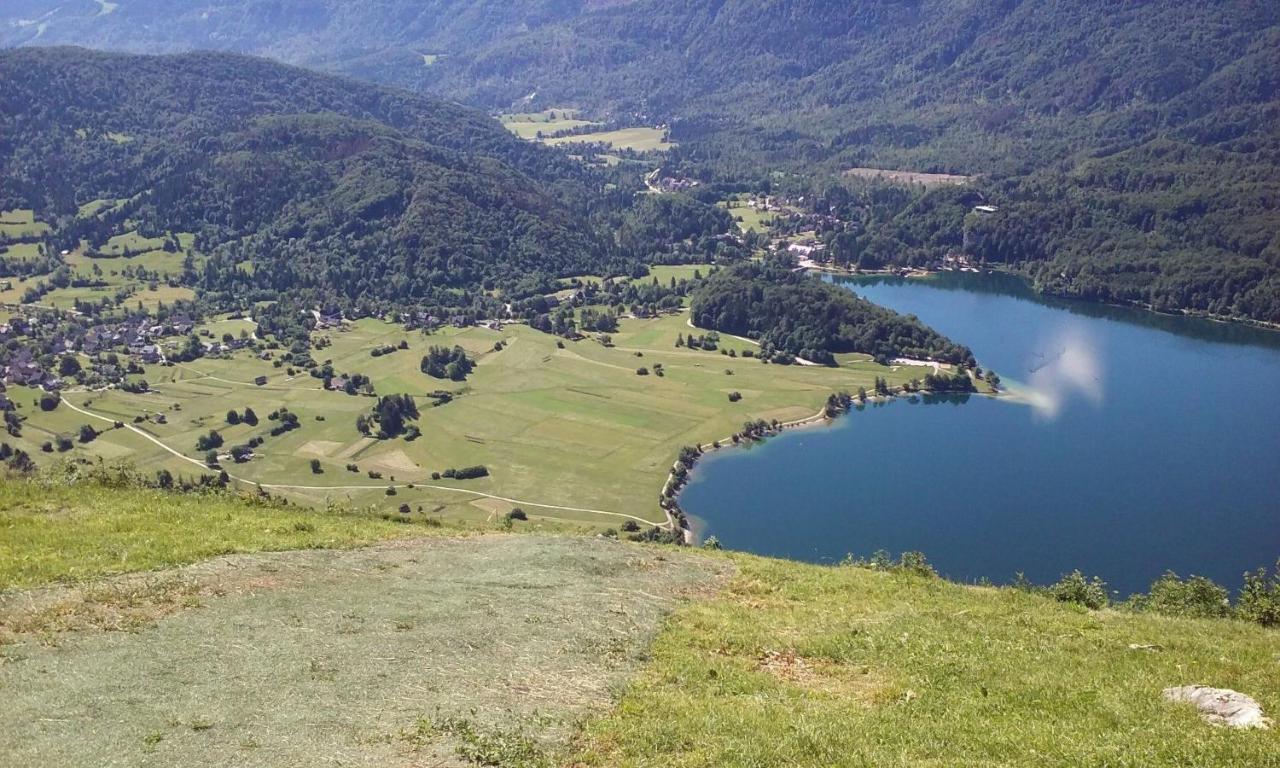 Apartament Soba Pri Bregarju Bohinj Zewnętrze zdjęcie