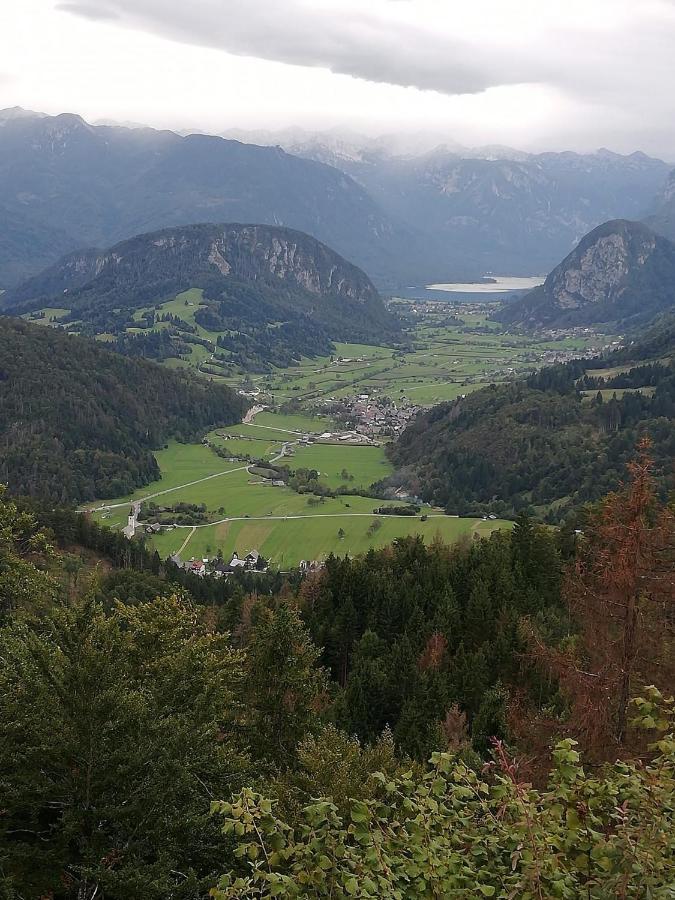 Apartament Soba Pri Bregarju Bohinj Zewnętrze zdjęcie
