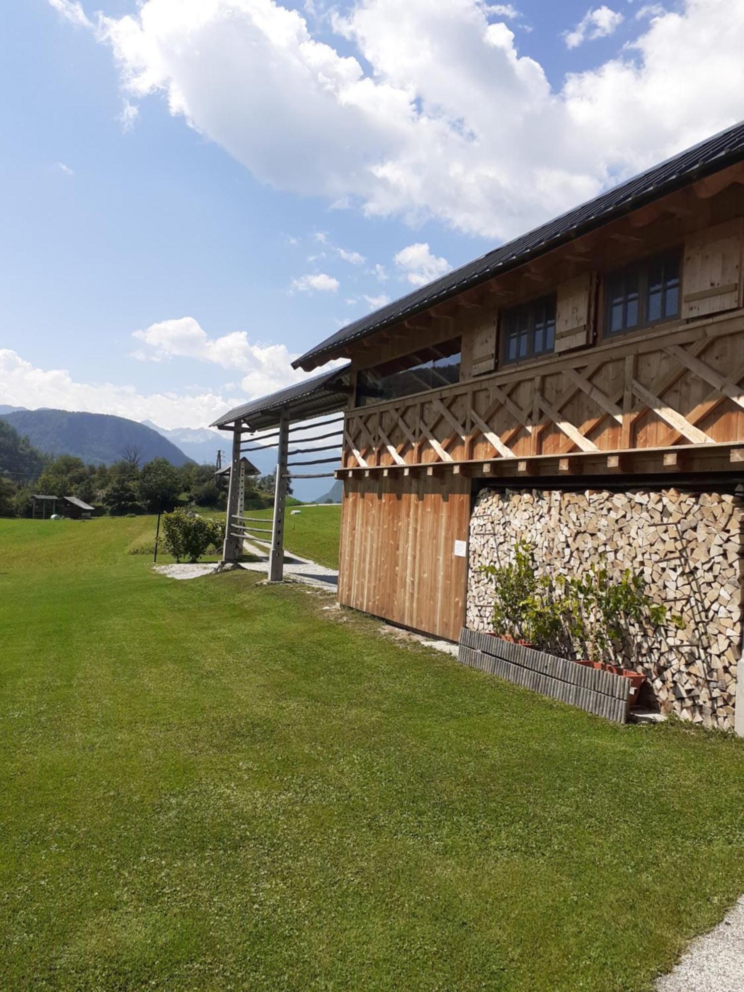 Apartament Soba Pri Bregarju Bohinj Zewnętrze zdjęcie